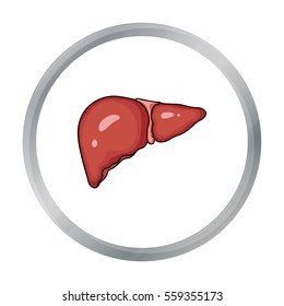 Human liver icon in cartoon style isolated on white background. Human organs symbol stock vector illustration.