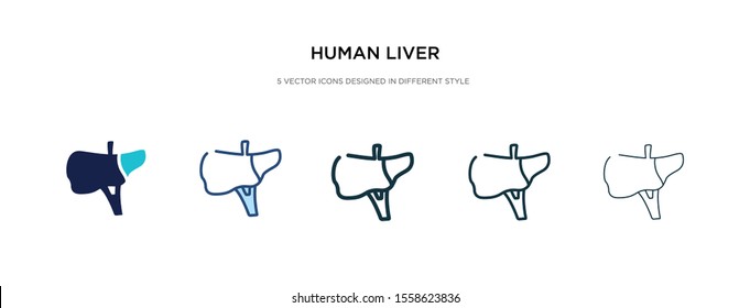 human liver icon in different style vector illustration. two colored and black human liver vector icons designed in filled, outline, line and stroke style can be used for web, mobile, ui