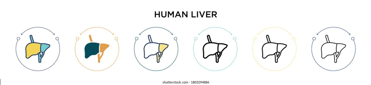 Human Liver Icon In Filled, Thin Line, Outline And Stroke Style. Vector Illustration Of Two Colored And Black Human Liver Vector Icons Designs Can Be Used For Mobile, Ui, Web