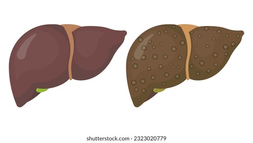 Human liver icon isolated on white background. Vector illustration. Eps 10. 