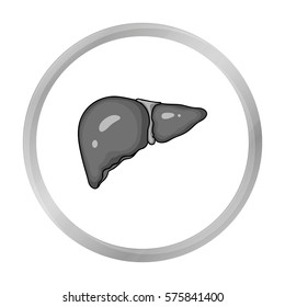 Human liver icon in monochrome style isolated on white background. Human organs symbol stock vector illustration.