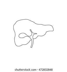 Human liver icon in outline style isolated on white background