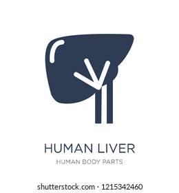 Human Liver icon. Trendy flat vector Human Liver icon on white background from Human Body Parts collection, vector illustration can be use for web and mobile, eps10