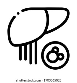 vector de icono del hígado humano. signo hepático humano. ilustración de símbolo de contorno aislado