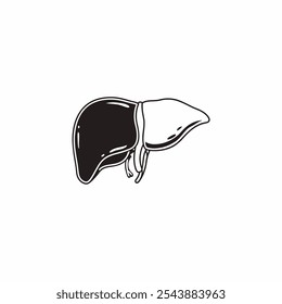 Ilustración vectorial de arte de línea de hígado humano