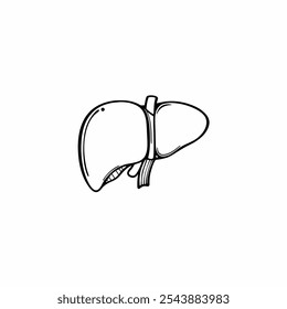 Ilustración vectorial de arte de línea de hígado humano