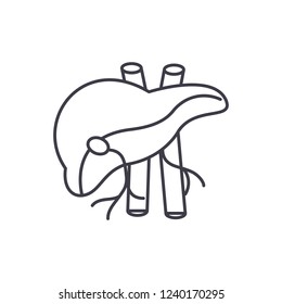 Human liver line icon concept. Human liver vector linear illustration, symbol, sign