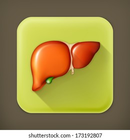 Human liver, long shadow vector icon