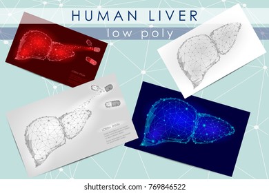 Human liver low poly medicine science illustration set. Internal organ anatomical pain cure concept. Help keep health drug mechanism action vector polygonal geometric point line
