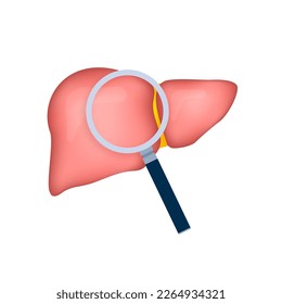 Human liver with magnifying glass. Finding virus. Vector stock illustration.