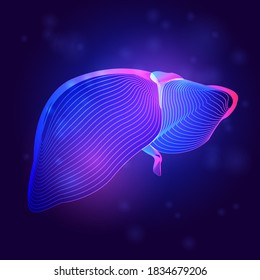 Human liver medical structure. Outline vector illustration of body part organ anatomy in 3d line art style on neon abstract background