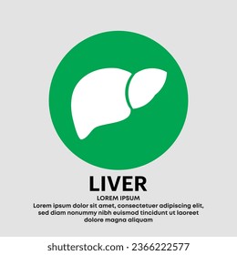 Human liver medical vector icon. 
simple Vector liver isolated on a white background. liver care logo vector design template - EPS 10 