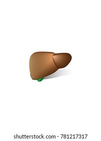 Human liver on white background
