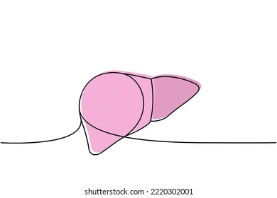 Human liver one line colored continuous drawing. Human organ continuous colorful one line illustration. Vector minimalist linear illustration.