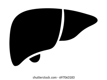 Human liver organ with gallbladder flat vector icon for medical apps and websites