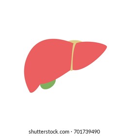 Human liver organ vector