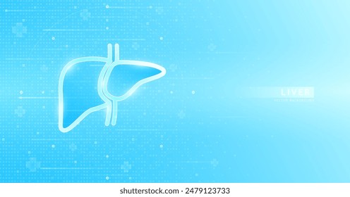 Human liver outline glowing on blue background futuristic. Used for designing medical health care advertisements. Banner vector EPS10.