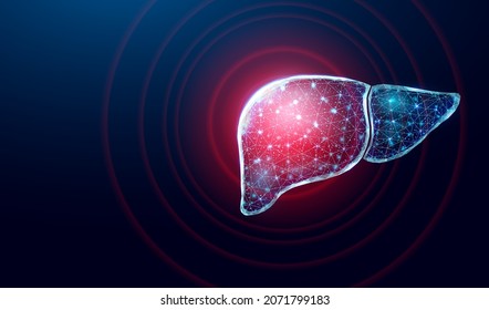 Human liver pain. Wireframe low poly style. Concept for medical, pharmacology, treatment of the hepatitis. Abstract modern 3d vector illustration on dark blue background.