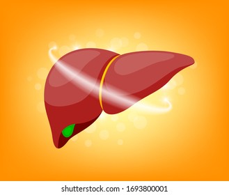 Human liver sign. health protection concept. Illustration on orange background.