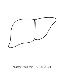 Human liver. A simple anatomical illustration, hand-drawn in a linear style.