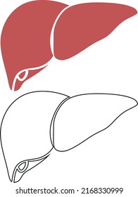 Human liver sizeable vector human body part