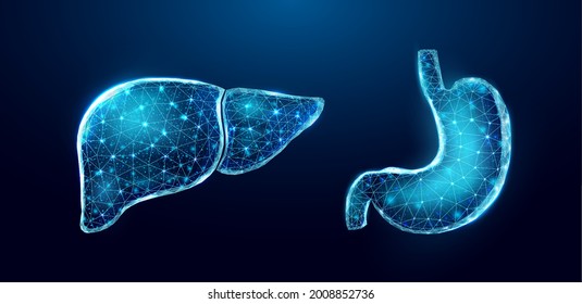 Human liver and stomach. Wireframe low poly style. Concept for medical, treatment of the hepatitis, of the digestive system.  Abstract modern 3d vector illustration on dark blue background. 