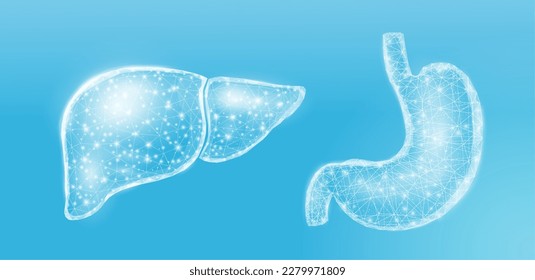 Human liver and stomach. Wireframe low poly style. Concept for medical, treatment of the hepatitis, of the digestive system.  Abstract modern 3d vector illustration on blue background. 