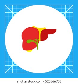 Human Liver Vector Icon