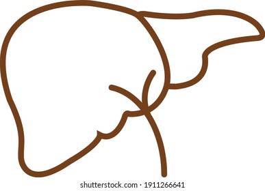Human liver vector icon. Internal organ symbol