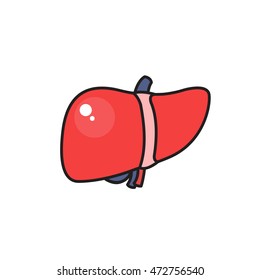 human liver. vector illsutration