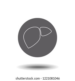 Human liver vector line icon isolated on white background. Detoxification concept. Human liver line icon for infographic, website or app. Icon designed on a grid system.