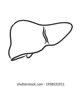 Human liver vector line icon isolated on white background. Detoxification concept. Human liver line icon for infographic, website or app. Icon designed on a grid system