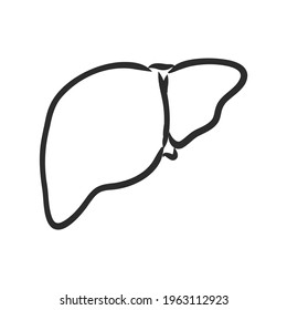 Human liver vector line icon isolated on white background. Detoxification concept. Human liver line icon for infographic, website or app. Icon designed on a grid system