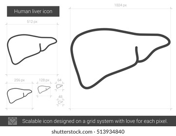 Vektorillustration der menschlichen Leber, Symbol einzeln auf weißem Hintergrund. Menschliches Leberliniensymbol für Infografik, Website oder App. Skalierbares Symbol, das auf einem Gittersystem entworfen wurde.