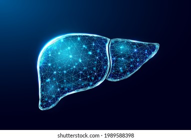 Human liver. Wireframe low poly style. Concept for medical, treatment of the hepatitis.  Abstract modern 3d vector illustration on dark blue background. 