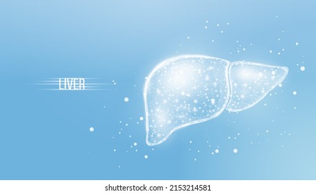 Human liver. Wireframe low poly style. Concept for medical, treatment of the hepatitis. Abstract modern 3d vector illustration on blue background. svg