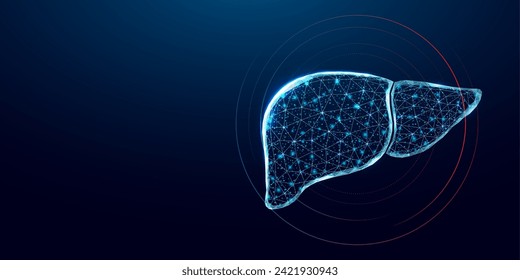 Human liver. Wireframe low poly style. Concept for medical, treatment of the hepatitis.  Abstract modern digital vector illustration on dark blue background. 