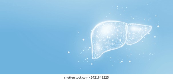 Human liver. Wireframe low poly style. Concept for medical, treatment of the hepatitis. Abstract modern 3d vector illustration on blue background.