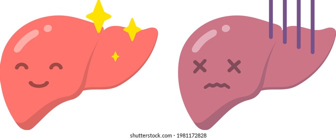 Ilustración vectorial aislada de hígados humanos.