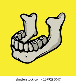 Human lower jaw. Anatomical object concept. Human body part illustration. Medical concept