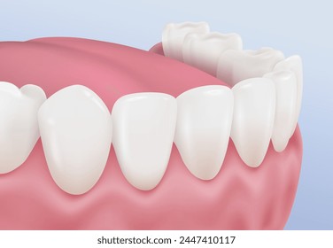 Human lower teeth and gums, close-up side view.  Advertising for toothpaste, dental clinic, mouthwash, medical anatomy study. Realistic vector file.