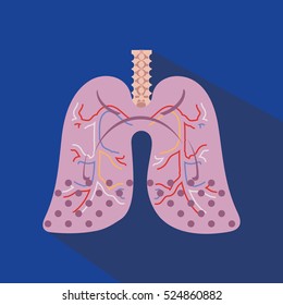 human lung anatomy diagram