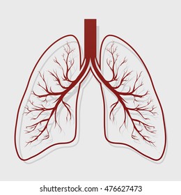 Human Lung anatomy illustration . Illness respiratory cancer graphics. Vector