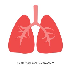 human lung in a flat style vector, human internal organ, anatomy, body part