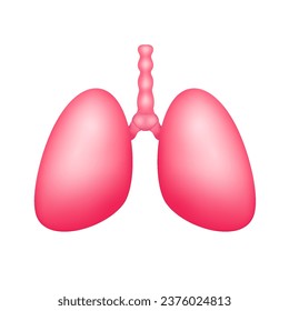 Human lung internal organ anatomy model isolated on a white background. For advertisements about health care. Medicine and science concept. 3D icon vector illustration.