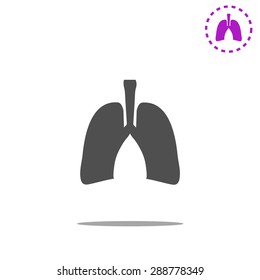 Human lung. Medical background
