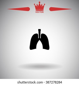 Human lung. Medical background.