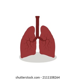 human lung vector, lung image for medical needs
