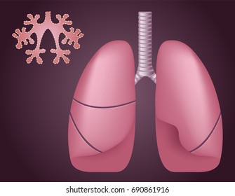 46 Alveolar Process Images, Stock Photos & Vectors 