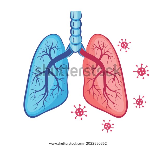 Human lungs anatomy icon. Breath organ.\
Coronavirus infection or pneumonia disease of respiratory system.\
Mutation Covid-19 virus. Medical treatment inflammation of internal\
breathing tract. Vector